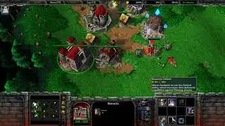 [RU/ENG] Warcraft 3 TFT: Обзор расы Альянс
