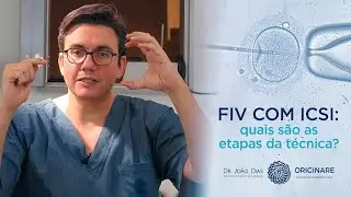 IVF with ICSI: what are the steps of the procedure? - Dr. João Dias
