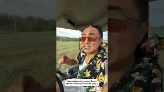 #qaisar