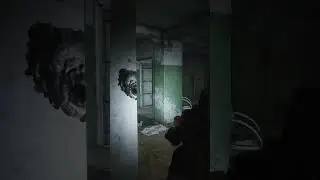 Знакомство с Vector 9x19 