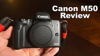 Canon M50 Review: The Most Underrated Camera of All Time