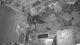 Ezviz Camera আসলেই খুব ভালো🥰
