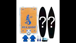 Live with Sea Gods: The Fleet #blackfriday2022