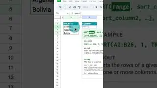 SORT Function 