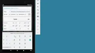 Программа для торговых агентов IBS Мобильная торговля