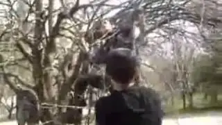 Мастер сельского паркура
