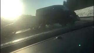 Жуткая аварий на новой Риге! 09.04.21