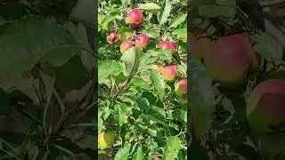 Відпочинок. Блакитне озеро 19.07.23