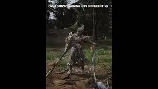 Wukong’s way? Next level stuff! 🤕 