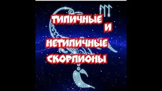 типичные и нетипичные СКОРПИОНЫ