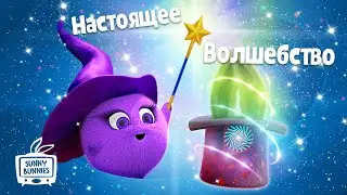 Солнечные зайчики | Настоящее волшебство | Мультики для детей | Прямой эфир