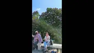 Сиреневый сад