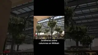Jardines de Mitikah #jardin #arquitectura #arquitectos #fyp #jardines #jardinera #plantas #paisaje