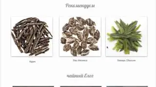 Чайный магазин : 19 роковых проблем (САЙТ)