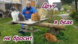 Это кайф - обрабатывать землю мотоблоком.