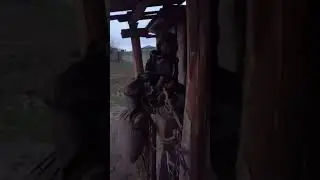 QORA TEPA JIYRON VA RUZIMUROD