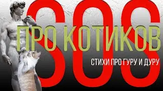 Про гуру, дуру и котиков ЮМОРИСТИЧЕСКИЕ СТИХИ ДЛЯ ВЗРОСЛЫХ СМЕШНЫЕ ВЕСЕЛЫЕ СТИХИ