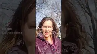Nature's Blow Dryer: The Majestic Power of the Wind-