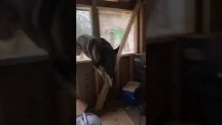 Wow