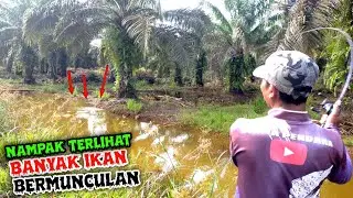 DIKIRA BAKAL ZONK !! GAK NYANGKA KETEMU SARANGNYA // CASTING GABUS