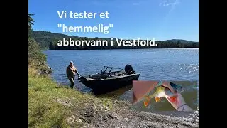 Vi tester abborfiske i et nytt vann.