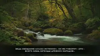 Наиф Шархан | Сура «Ахкаф» [13-20]