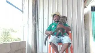 desde hoy cumpliré con esta misión amigos🤠👍