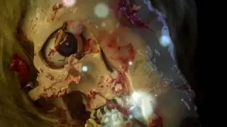 Waters - For The One (Director's Cut)