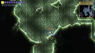 How to get Frozen Turtle Shell - Terraria 1.4