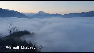 21 ноября 2021 г.