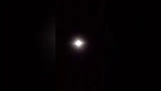 20 августа 2024 г.