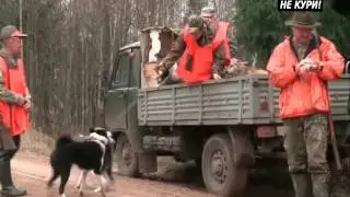 Driven hunting for wild boar