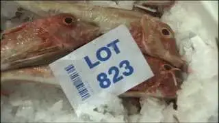 Agriculture and Fisheries Council - July 2014