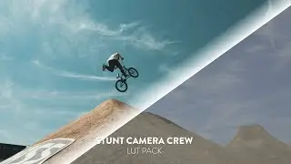 Complete Bundle | 450+ LUTs and 4K Lens Flares