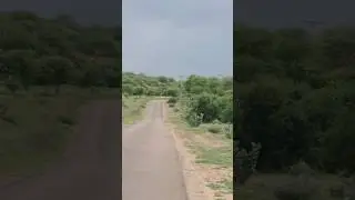#villagenaturelife