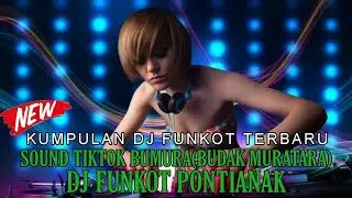 BEST DUGEM FUNKOT MELINTIR 2024 DJ BUTIRAN SANDIWARA NEW X BUNGA EDELWEIS NEW VIRAL-DJ ERIX SNC