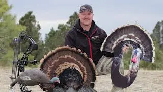 Self-Filmed, Run-and-Gun Archery Turkey Hunt - No Ground Blind!