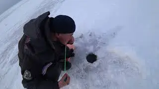 Рыбалка на окуня в дельте Селенги Бурятия