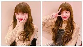 LISA BLACKPINK Facts and Ideal Types
