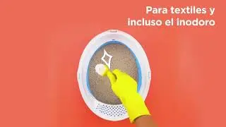 Cómo remover el olor de mascotas | Cleanipedia