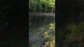 Hoje a família inteira vai comer traira