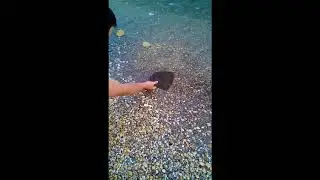 чикаго