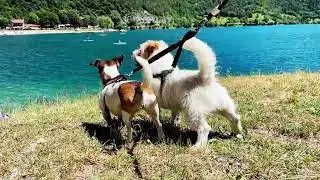 Camping Al Lago - Vacanze in Trentino, Via Alzer, 7/9, 38067 Loc. Pieve, TN - Lago di Ledro
