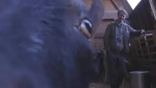 When your star likes the camera a little too much! (from the film www.FOREVERHOME.love)