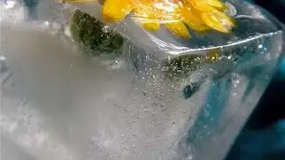 сюрприз во льду//растопила лёд