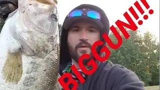 Cold Front BIGGUN!!! (BIG BASS) Savage Gear 3D Bluegill Swimbait
