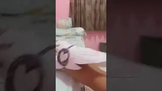 NEW PUPPET DRAGON!!!(200 subs special♡) 