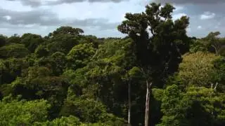 Amazônia S/A (Sociedade Anônima) - Episódio 1