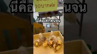 หลอกให้คนอื่นกินเค้กคนจน #ประหยัด #สายประหยัด #ความรู้ #รู้หรือไม่ #ของหวาน