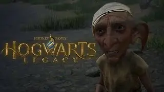 Прохождение: Hogwarts Legacy #9 ПОТЕРЯННЫЕ СТРАНИЦЫ